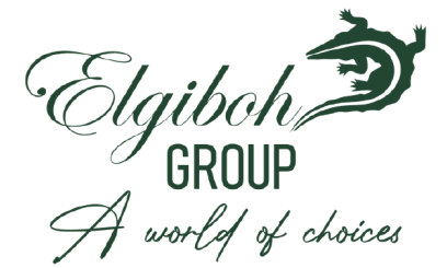elgiboh group full logo transparent green