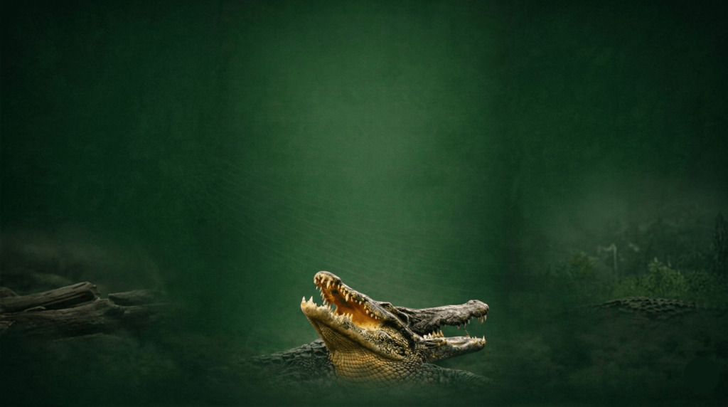 elgiboh travel crocodiles landscape