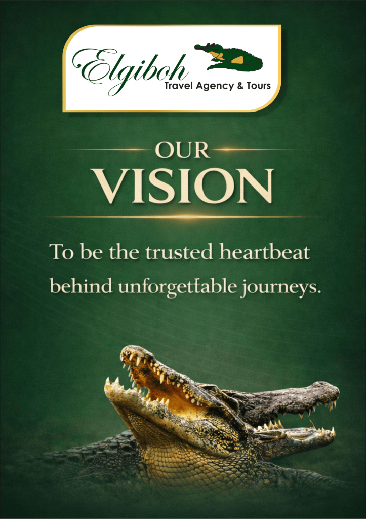 elgiboh travel vision